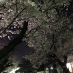04025d80-0147-4efb-a986-15ed36b07ef7