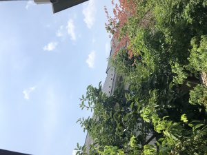 dd7e29ad-7446-4148-bc0b-7902c212fb41